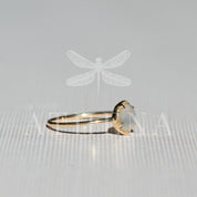 Moonstone Solitaire Ring in 14K Yellow Gold