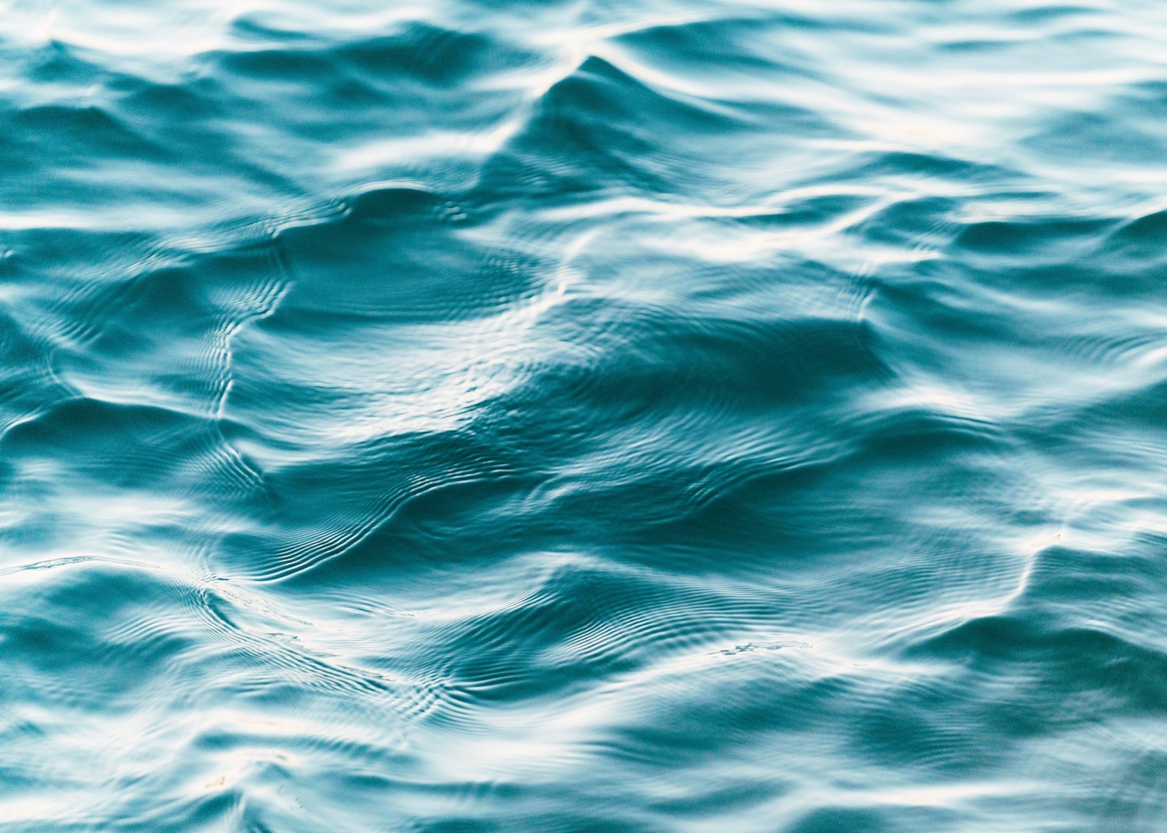 pexels-matthardy-3560168.jpg