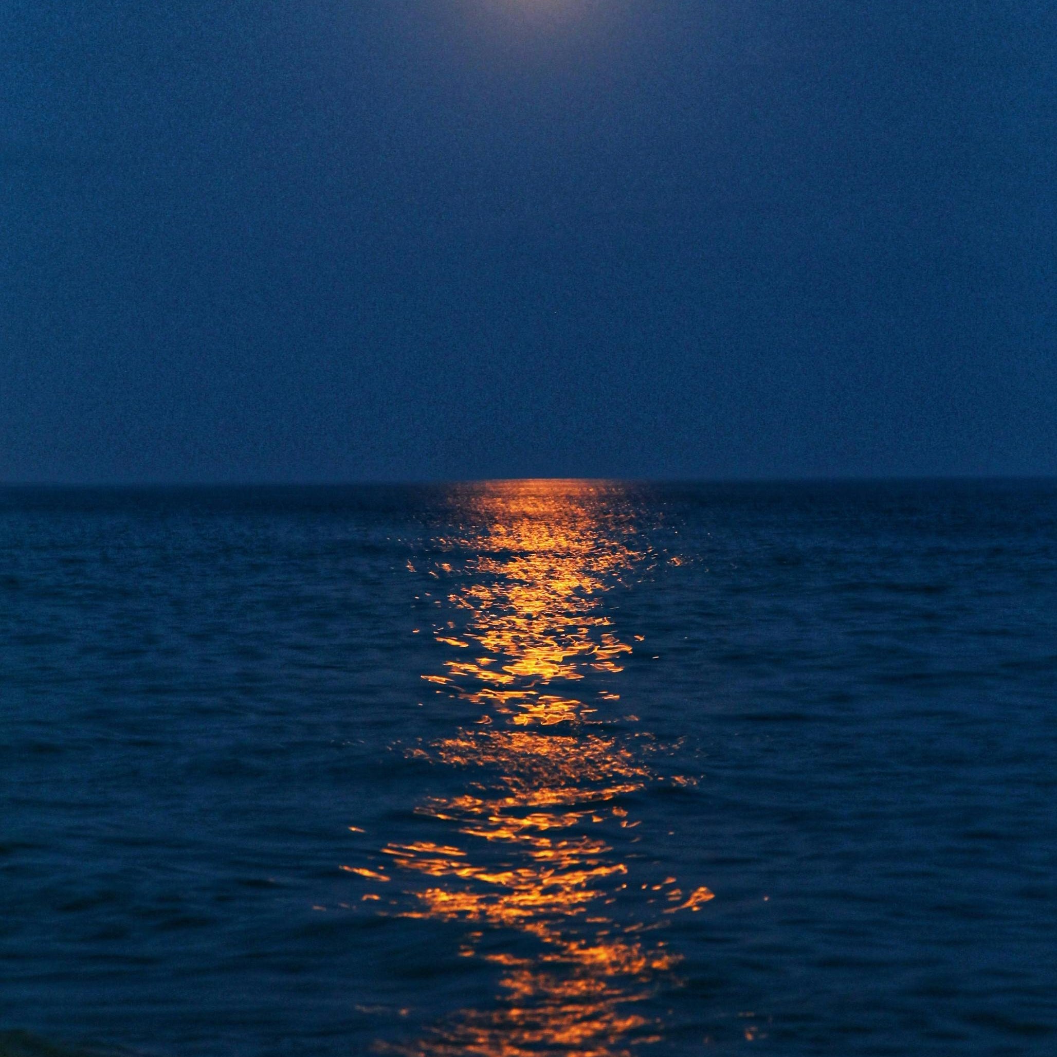 The Night Sea