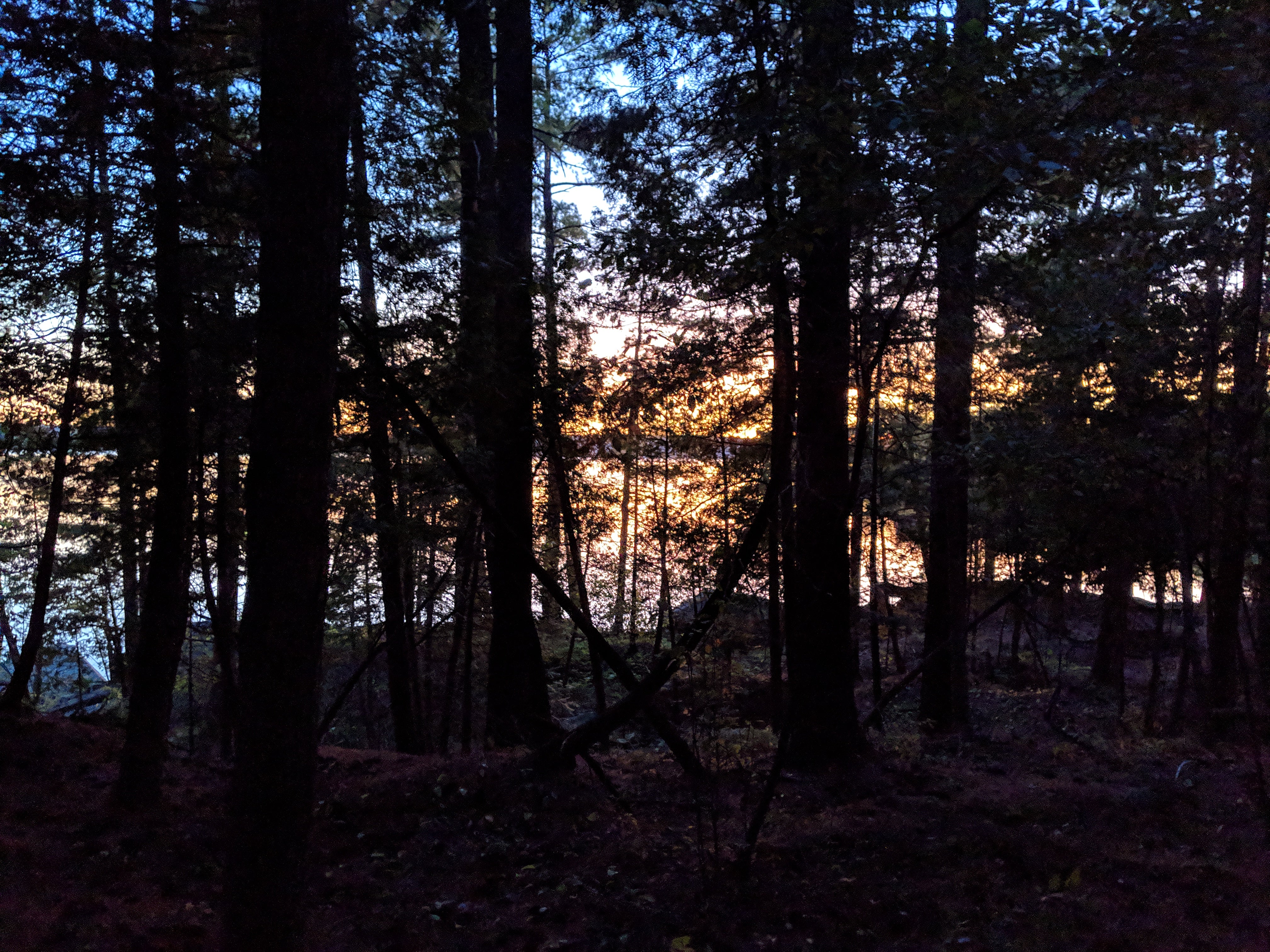 Echoes of the Lake