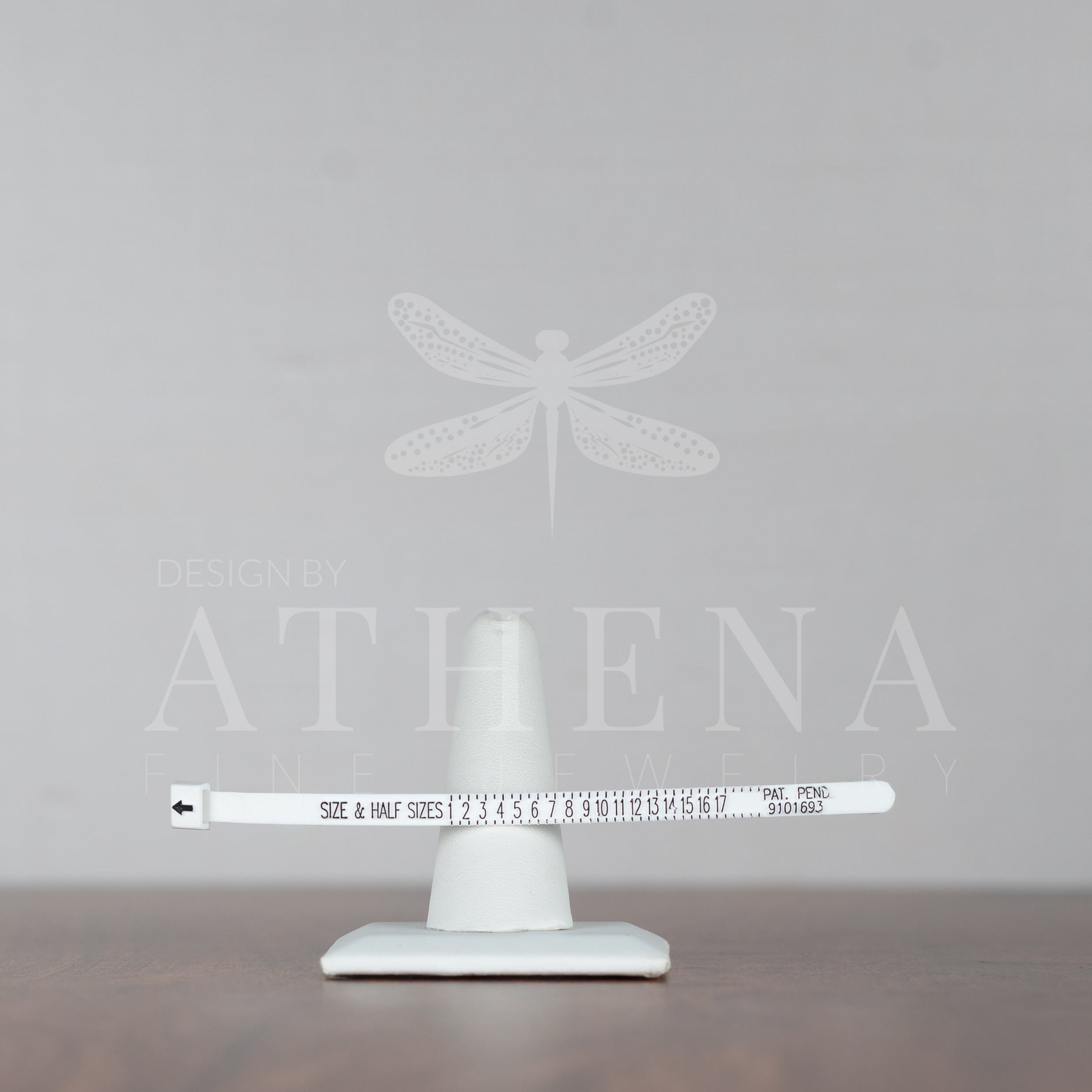 Athena_November-28.jpg