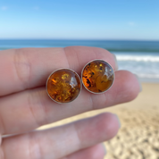 Honeyfire Studs | Sterling Silver Baltic Amber | Tears of the Sun