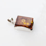 Phaethon Pendant | Sterling Silver Baltic Amber | Tears of the Sun