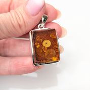 Phaethon Pendant | Sterling Silver Baltic Amber | Tears of the Sun
