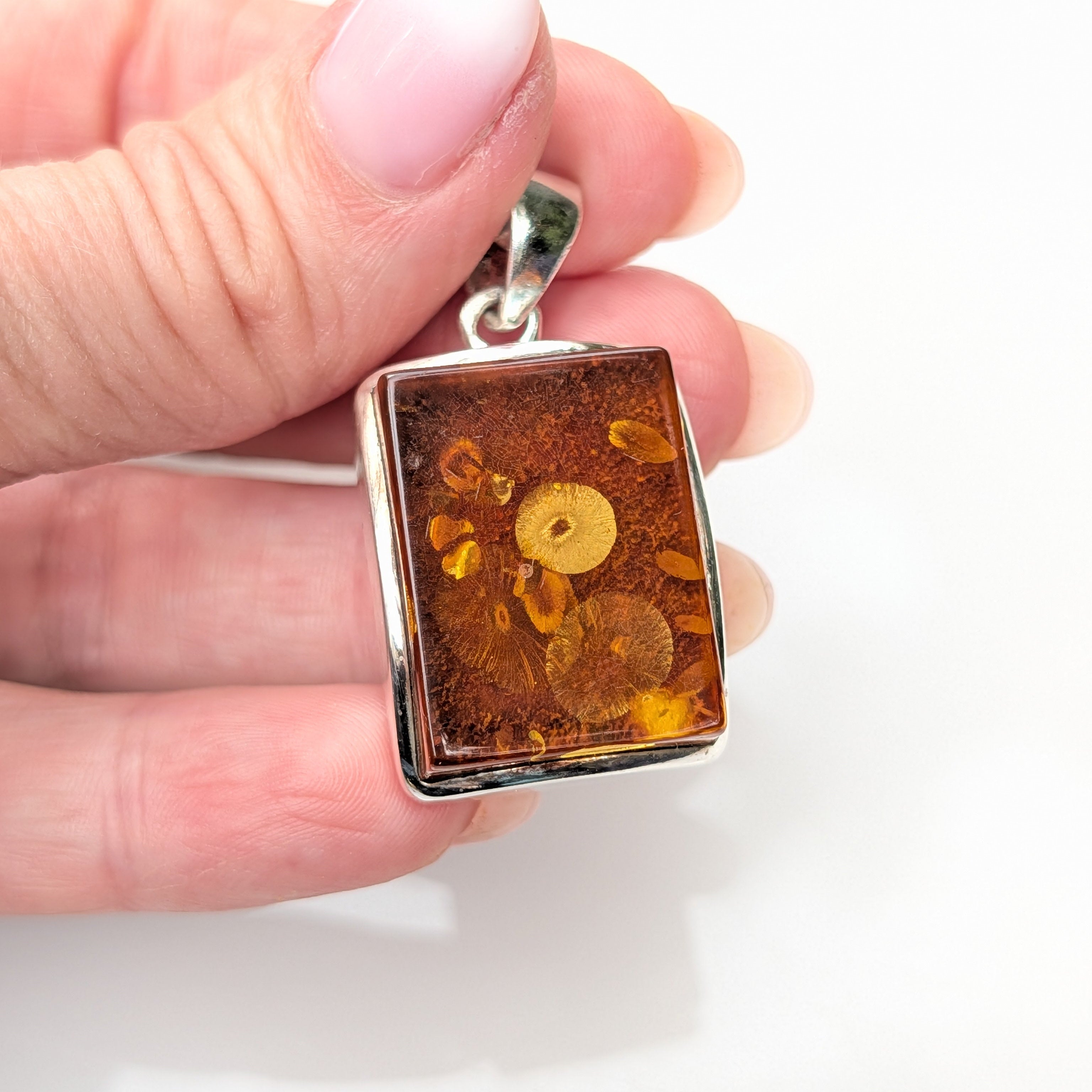 Phaethon Pendant | Sterling Silver Baltic Amber | Tears of the Sun