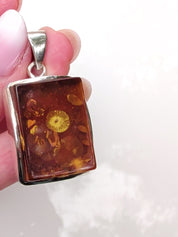 Phaethon Pendant | Sterling Silver Baltic Amber | Tears of the Sun