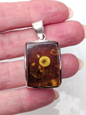 Phaethon Pendant | Sterling Silver Baltic Amber | Tears of the Sun