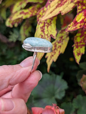 Coastal Relic — Amazonite Ring in Sterling Silver Sz 9
