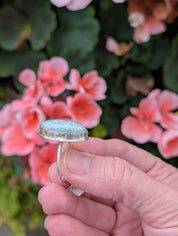 Coastal Relic — Amazonite Ring in Sterling Silver Sz 9