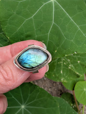 Tidal Rift — Labradorite Ring in Sterling Silver