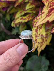 Coastal Relic — Amazonite Ring in Sterling Silver Sz 9