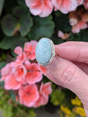 Coastal Relic — Amazonite Ring in Sterling Silver Sz 9