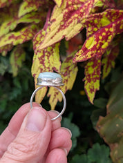 Coastal Relic — Amazonite Ring in Sterling Silver Sz 9
