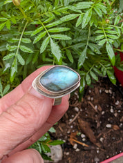 Tidal Rift — Labradorite Ring in Sterling Silver