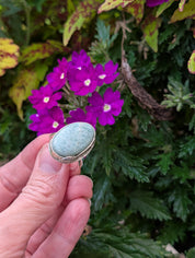 Coastal Relic — Amazonite Ring in Sterling Silver Sz 9